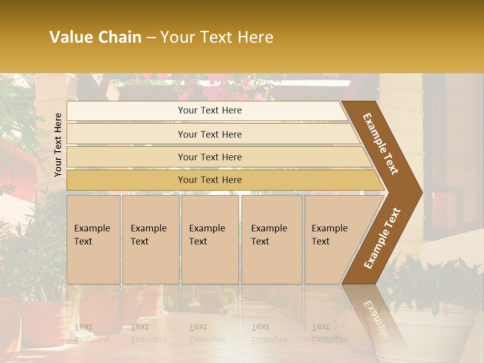 A Large Group Of Potted Plants On A Patio PowerPoint Template