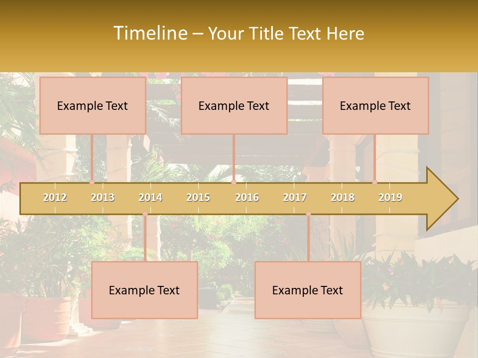 A Large Group Of Potted Plants On A Patio PowerPoint Template