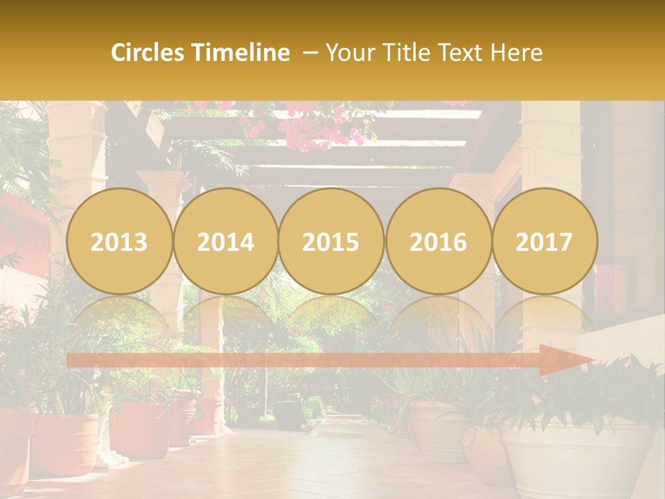 A Large Group Of Potted Plants On A Patio PowerPoint Template