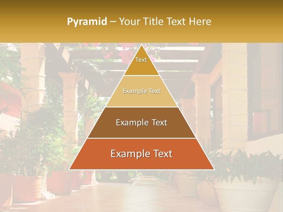 A Large Group Of Potted Plants On A Patio PowerPoint Template