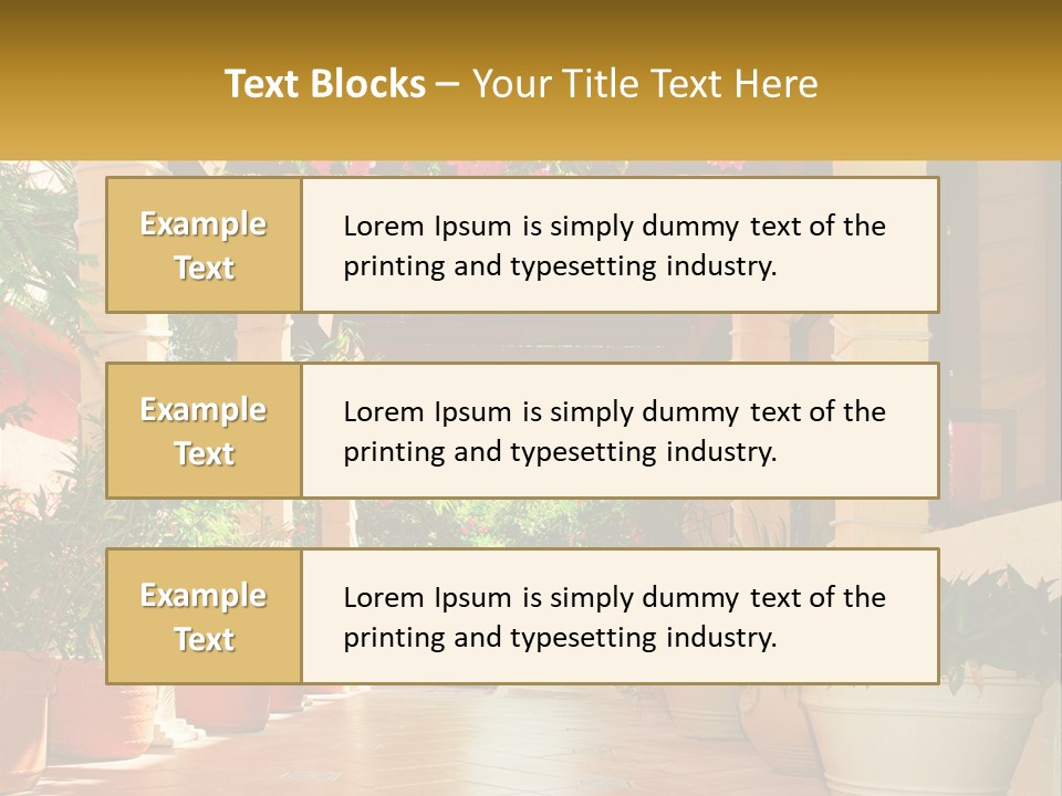A Large Group Of Potted Plants On A Patio PowerPoint Template