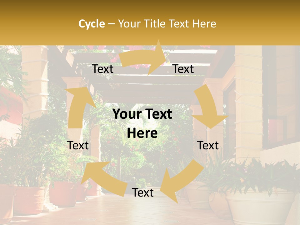 A Large Group Of Potted Plants On A Patio PowerPoint Template
