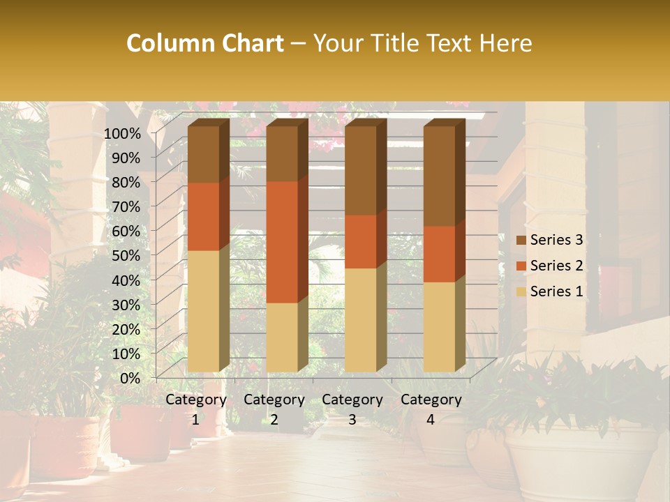 A Large Group Of Potted Plants On A Patio PowerPoint Template