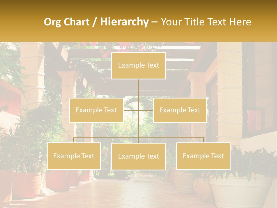 A Large Group Of Potted Plants On A Patio PowerPoint Template