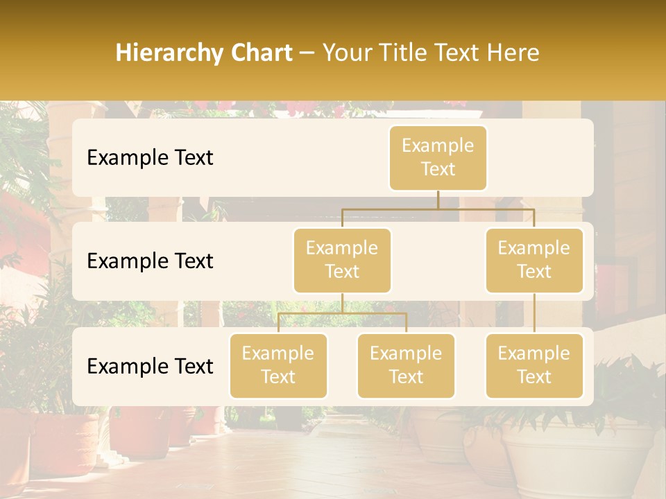 A Large Group Of Potted Plants On A Patio PowerPoint Template