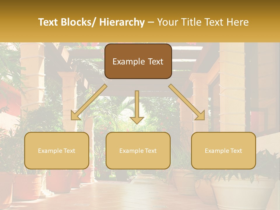 A Large Group Of Potted Plants On A Patio PowerPoint Template