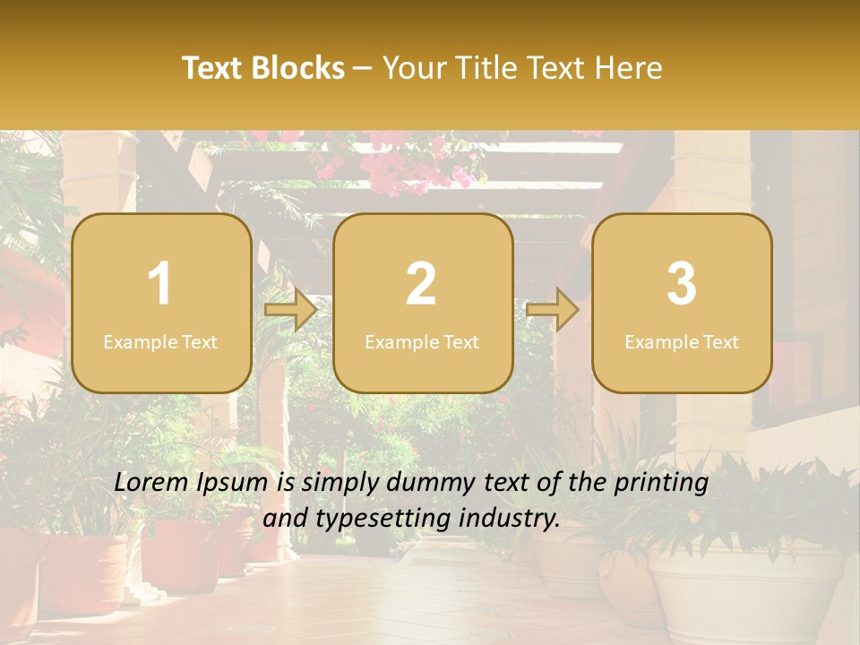 A Large Group Of Potted Plants On A Patio PowerPoint Template