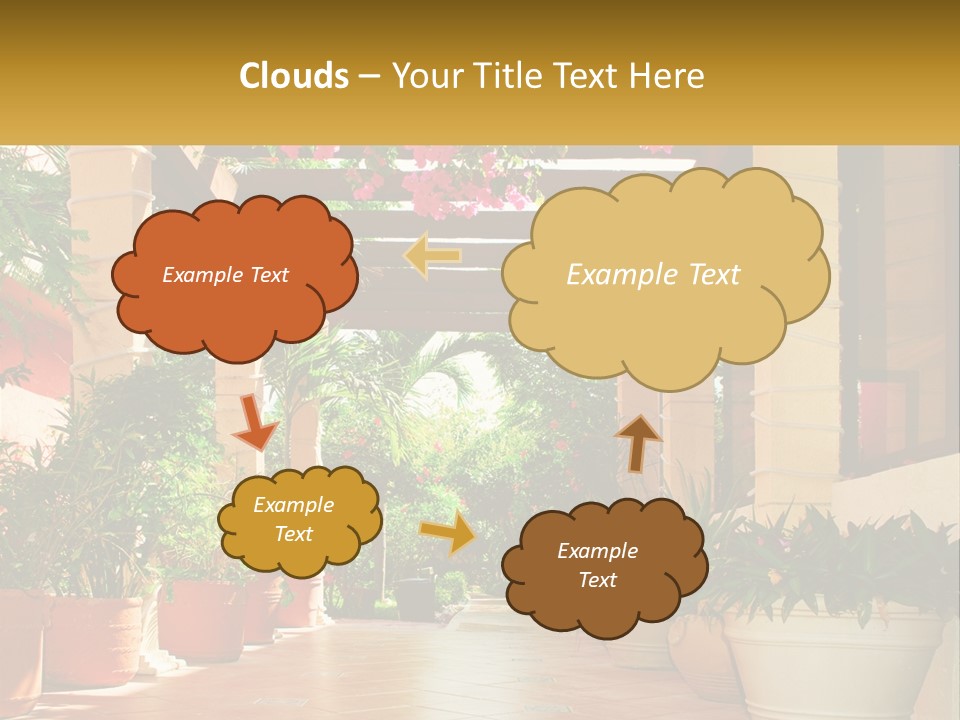 A Large Group Of Potted Plants On A Patio PowerPoint Template