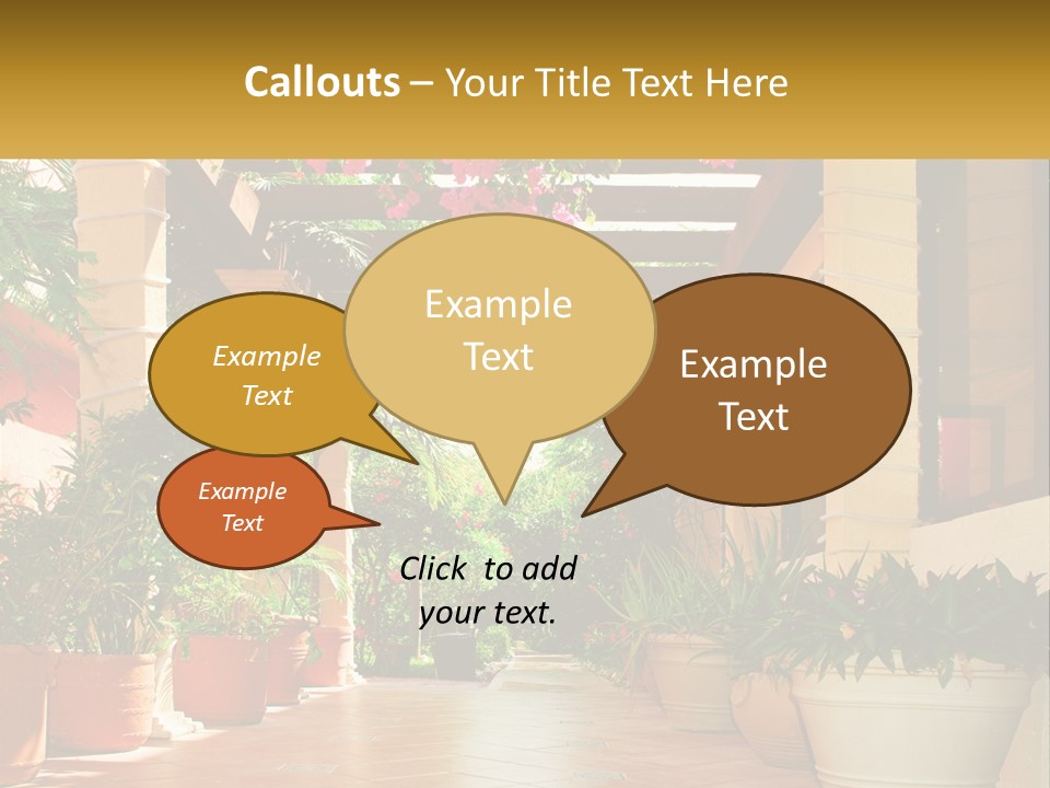 A Large Group Of Potted Plants On A Patio PowerPoint Template