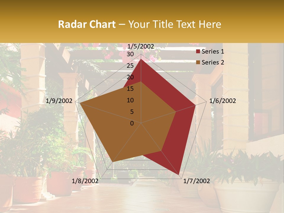 A Large Group Of Potted Plants On A Patio PowerPoint Template