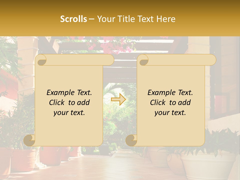 A Large Group Of Potted Plants On A Patio PowerPoint Template