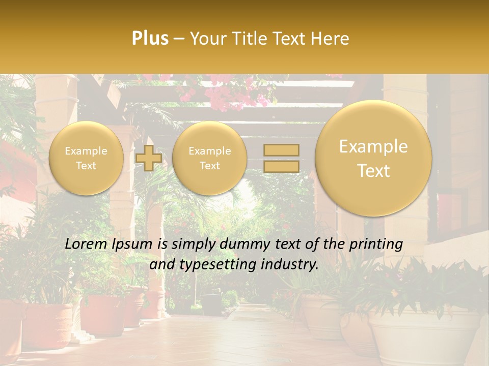 A Large Group Of Potted Plants On A Patio PowerPoint Template