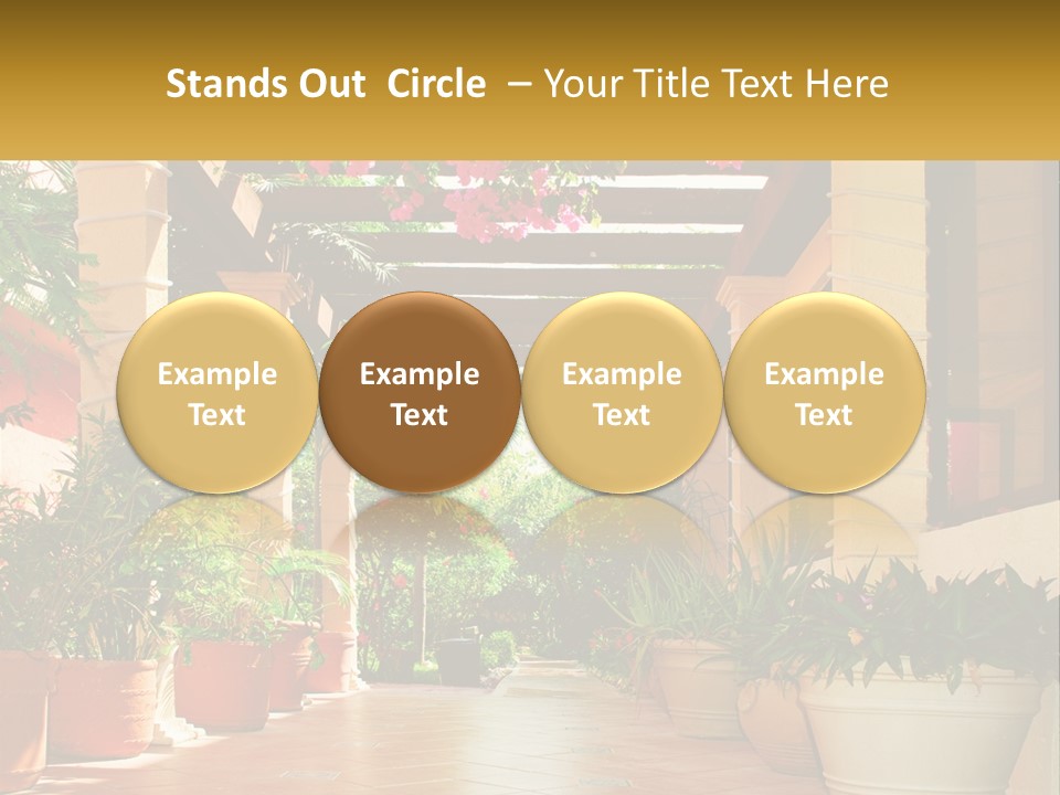 A Large Group Of Potted Plants On A Patio PowerPoint Template