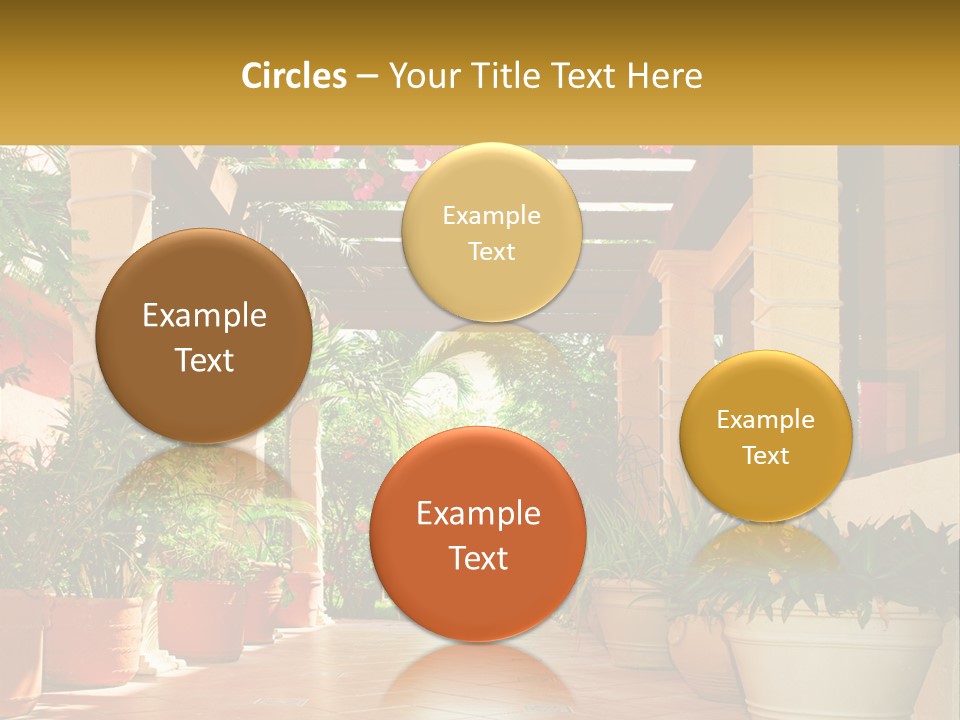 A Large Group Of Potted Plants On A Patio PowerPoint Template