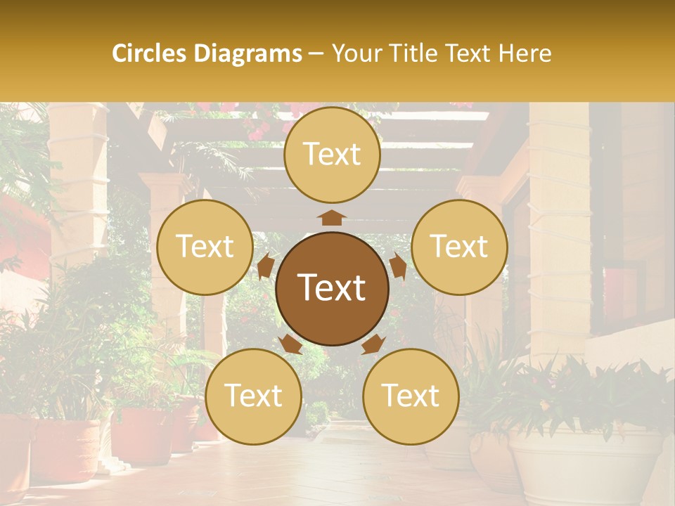 A Large Group Of Potted Plants On A Patio PowerPoint Template