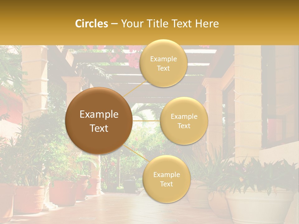 A Large Group Of Potted Plants On A Patio PowerPoint Template