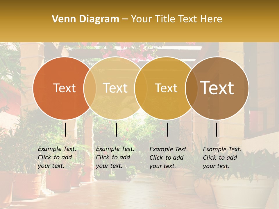 A Large Group Of Potted Plants On A Patio PowerPoint Template