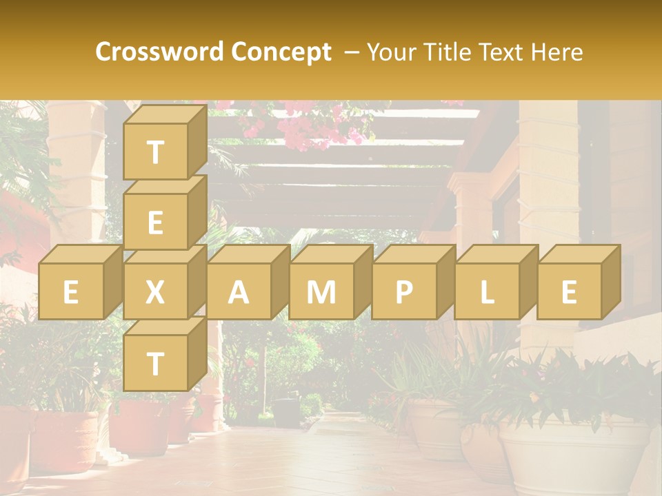 A Large Group Of Potted Plants On A Patio PowerPoint Template