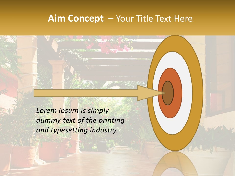 A Large Group Of Potted Plants On A Patio PowerPoint Template