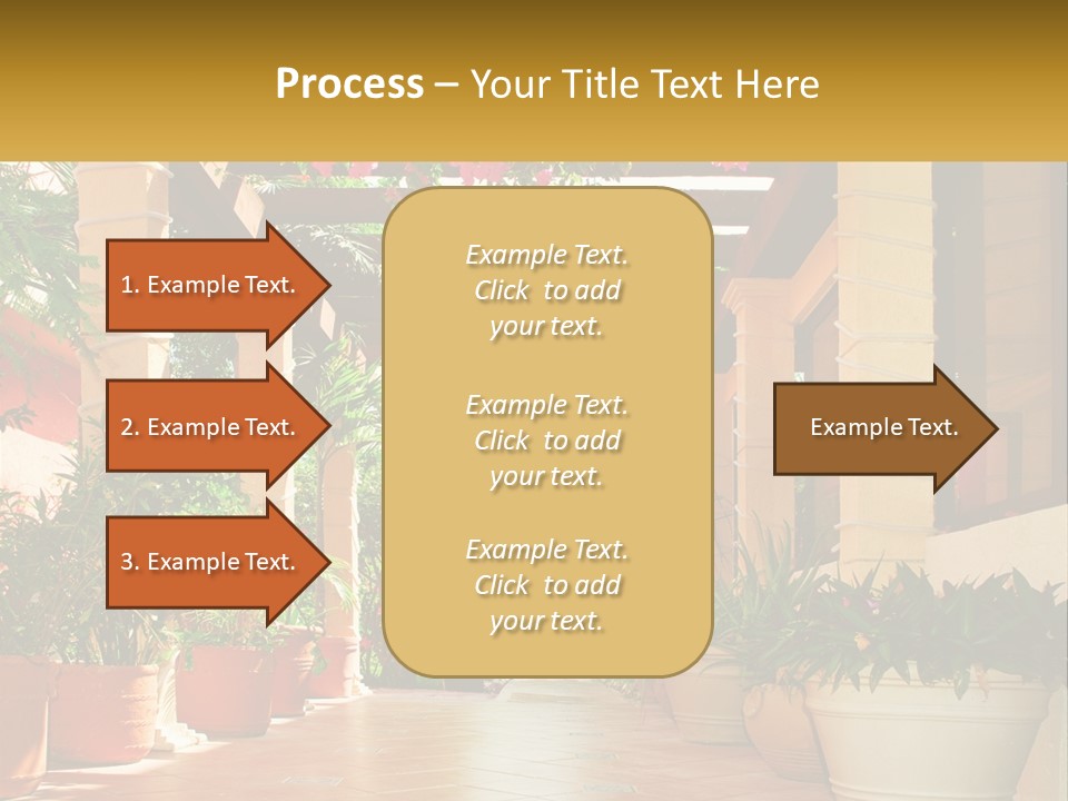 A Large Group Of Potted Plants On A Patio PowerPoint Template