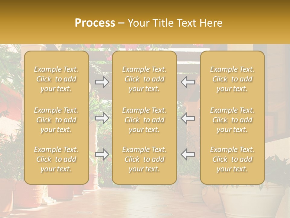 A Large Group Of Potted Plants On A Patio PowerPoint Template