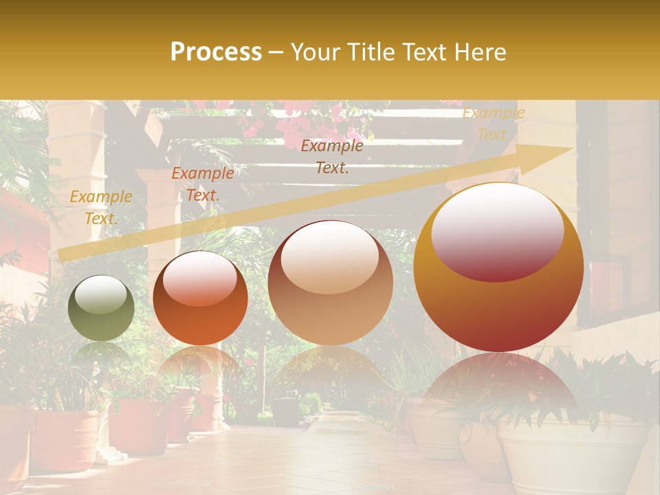 A Large Group Of Potted Plants On A Patio PowerPoint Template