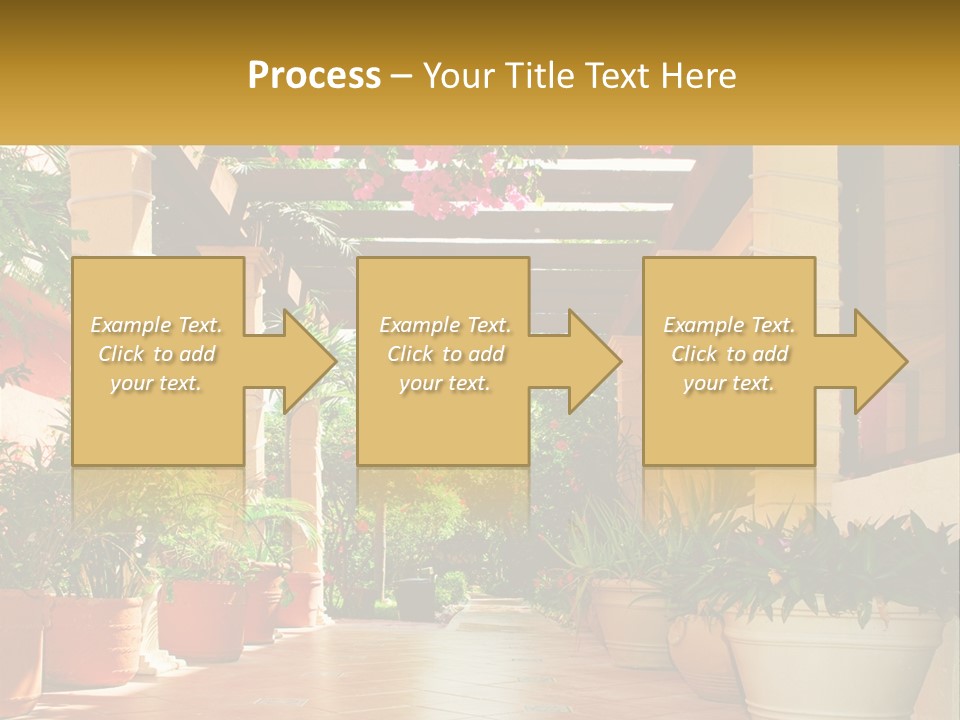 A Large Group Of Potted Plants On A Patio PowerPoint Template