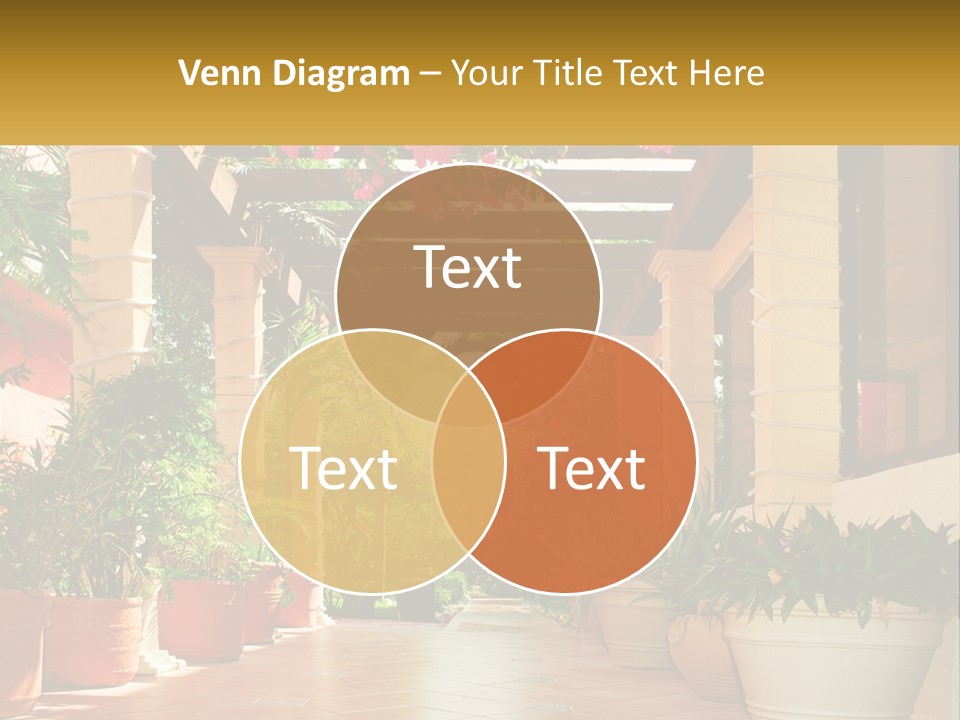 A Large Group Of Potted Plants On A Patio PowerPoint Template