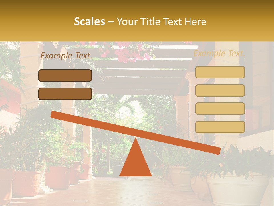 A Large Group Of Potted Plants On A Patio PowerPoint Template