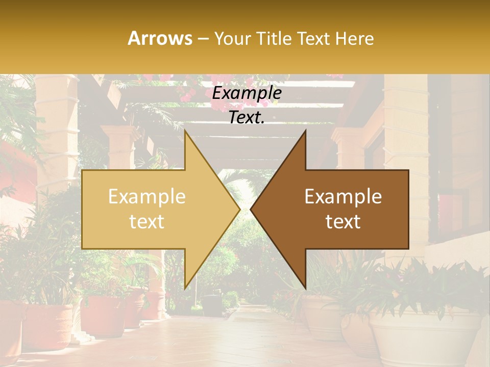 A Large Group Of Potted Plants On A Patio PowerPoint Template