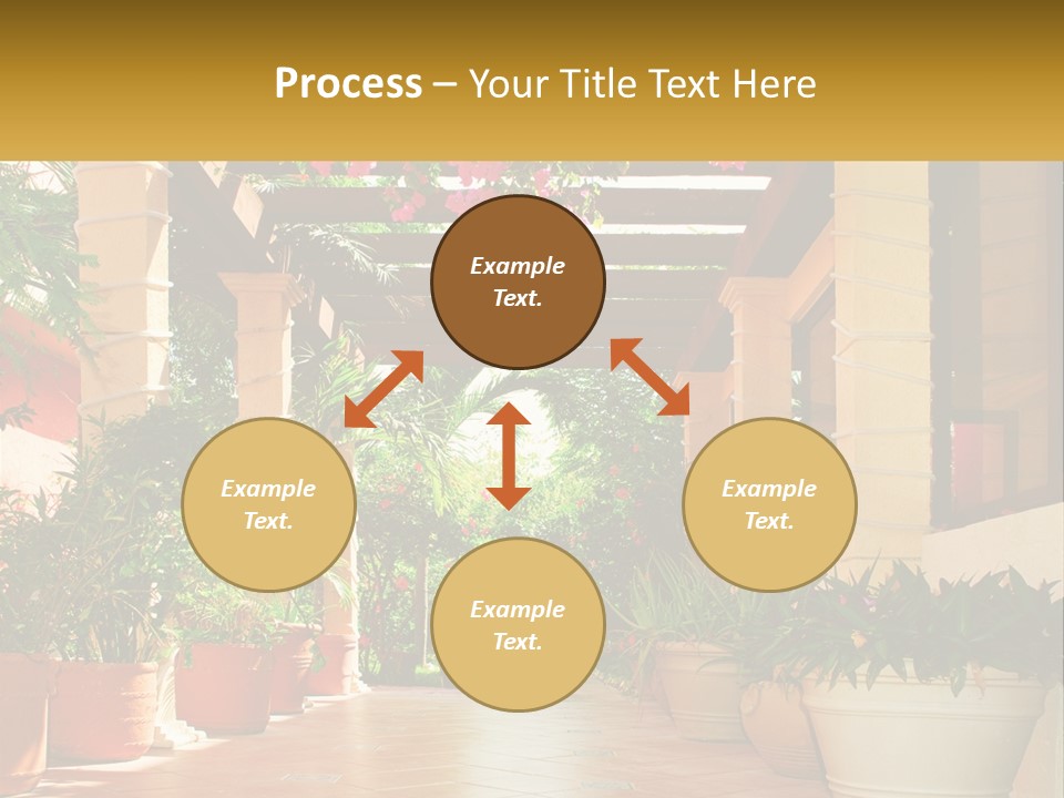 A Large Group Of Potted Plants On A Patio PowerPoint Template