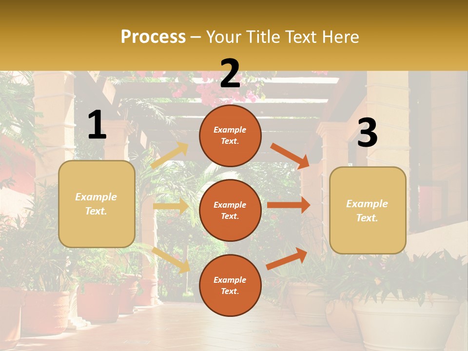A Large Group Of Potted Plants On A Patio PowerPoint Template