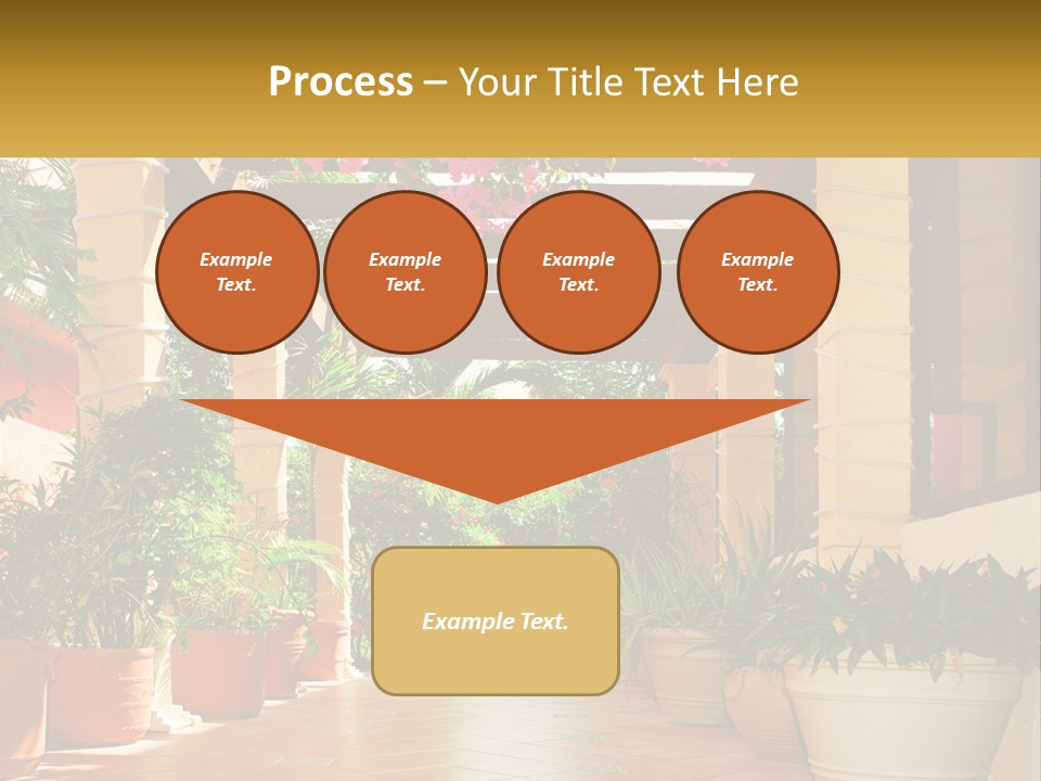 A Large Group Of Potted Plants On A Patio PowerPoint Template