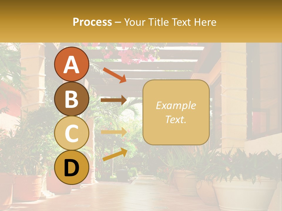 A Large Group Of Potted Plants On A Patio PowerPoint Template