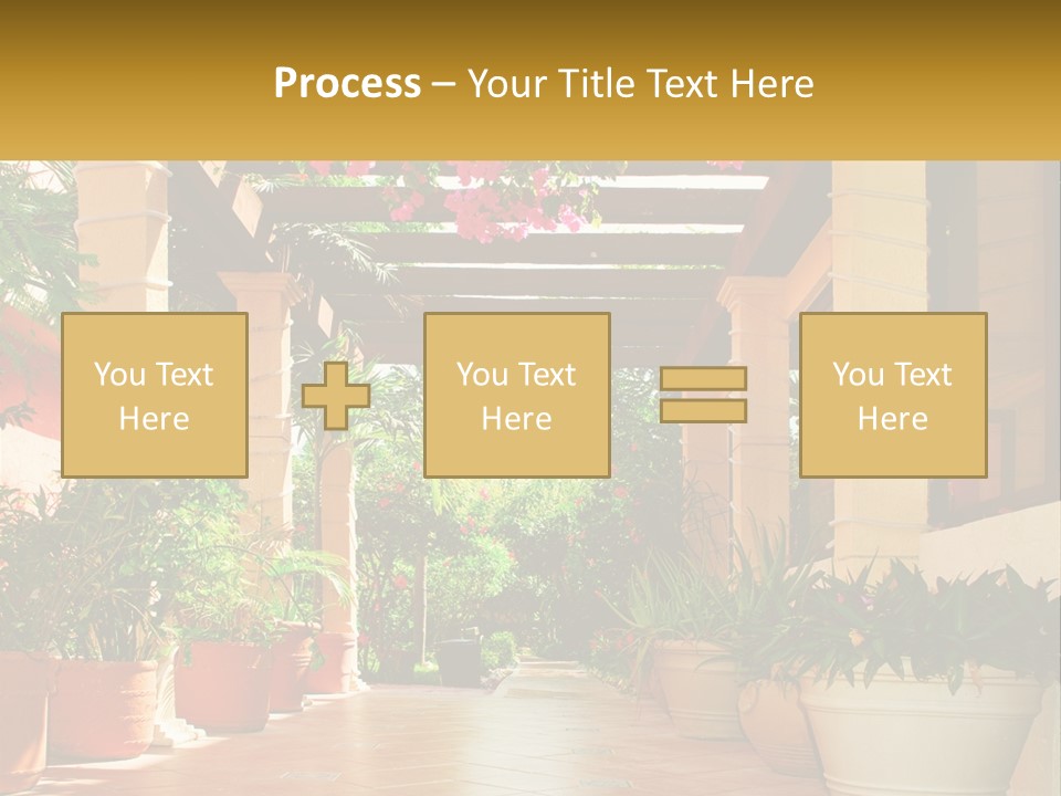 A Large Group Of Potted Plants On A Patio PowerPoint Template