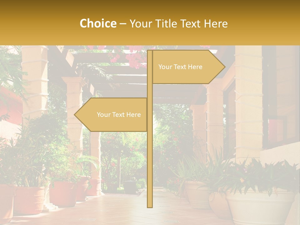 A Large Group Of Potted Plants On A Patio PowerPoint Template