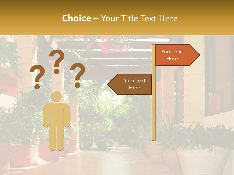 A Large Group Of Potted Plants On A Patio PowerPoint Template