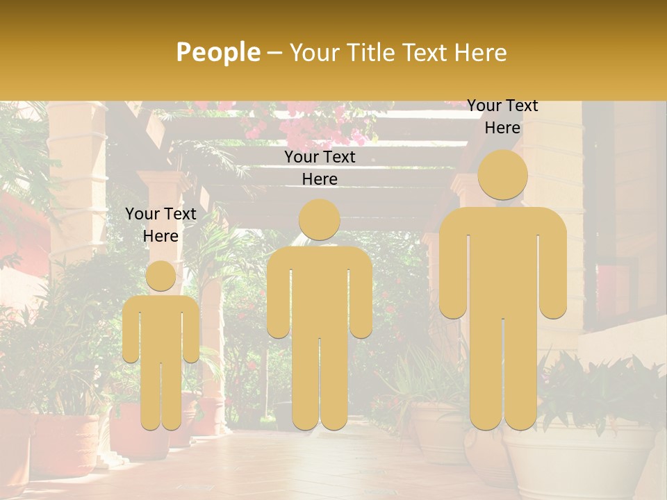 A Large Group Of Potted Plants On A Patio PowerPoint Template