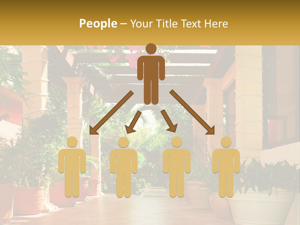 A Large Group Of Potted Plants On A Patio PowerPoint Template