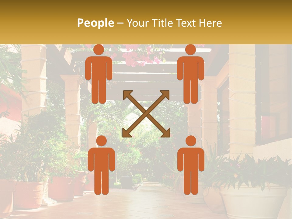 A Large Group Of Potted Plants On A Patio PowerPoint Template