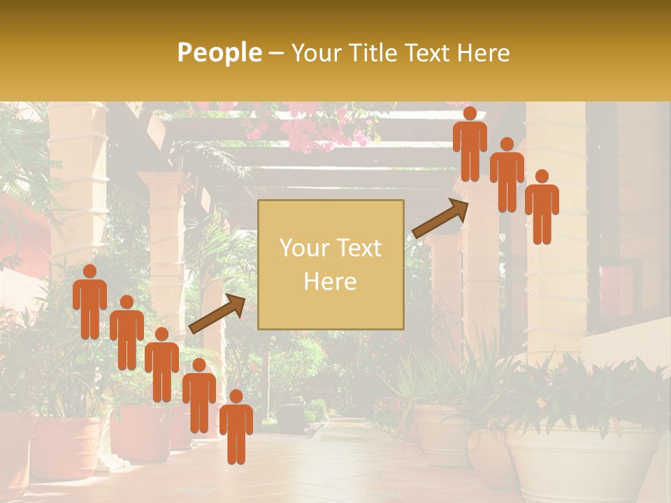 A Large Group Of Potted Plants On A Patio PowerPoint Template