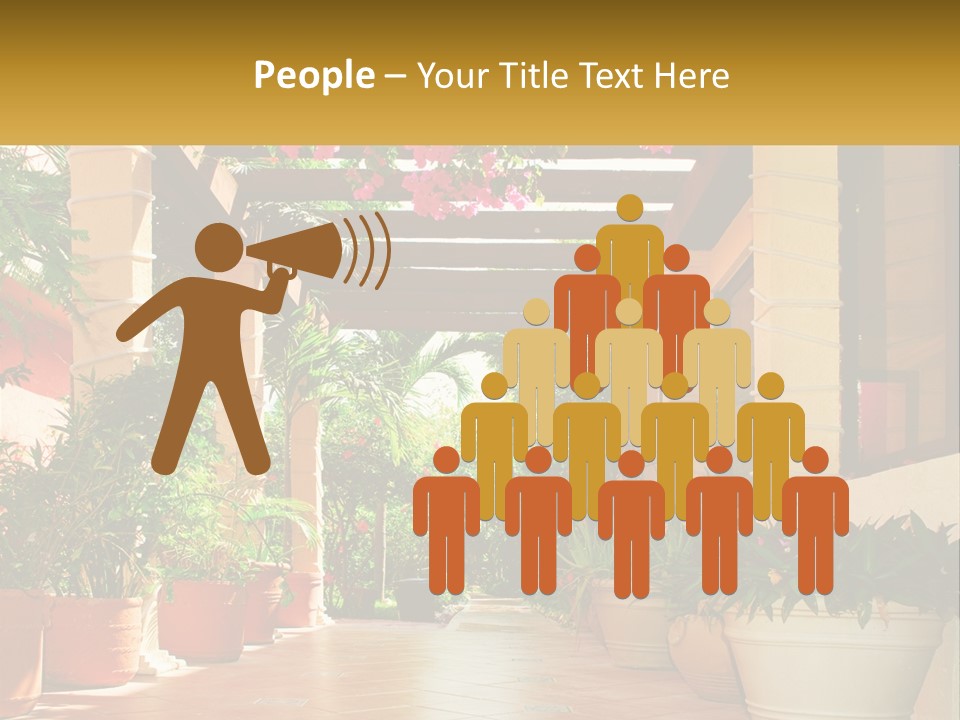 A Large Group Of Potted Plants On A Patio PowerPoint Template