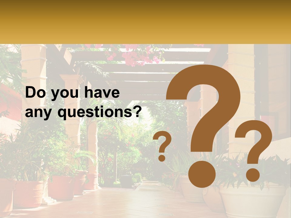 A Large Group Of Potted Plants On A Patio PowerPoint Template