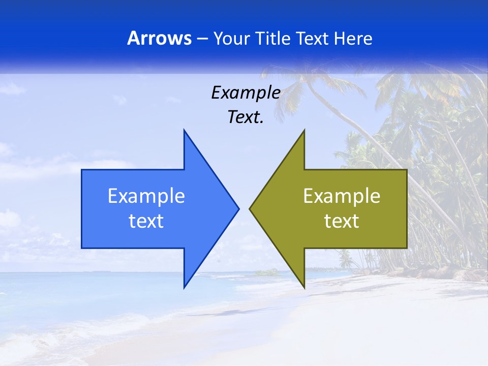 Palm Trees By The Sea PowerPoint Template