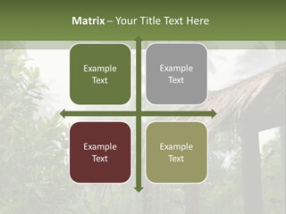 A House With A Thatched Roof In The Jungle PowerPoint Template
