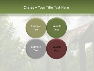 A House With A Thatched Roof In The Jungle PowerPoint Template