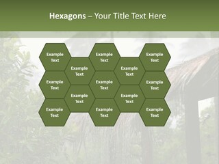 A House With A Thatched Roof In The Jungle PowerPoint Template