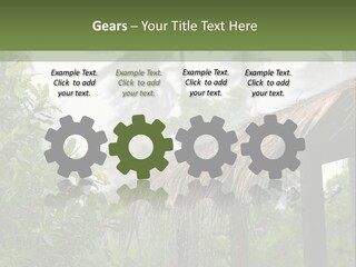 A House With A Thatched Roof In The Jungle PowerPoint Template