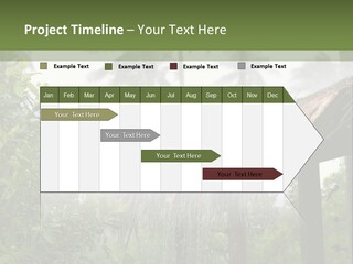 A House With A Thatched Roof In The Jungle PowerPoint Template