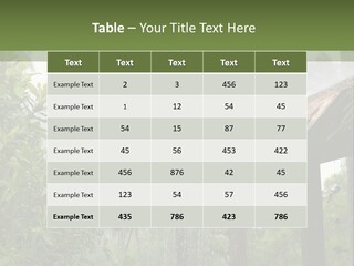 A House With A Thatched Roof In The Jungle PowerPoint Template